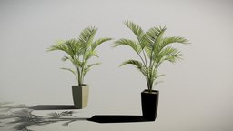 Pot (Palm) archviz, indoor, jungle, game-asset, environment-assets, architecture