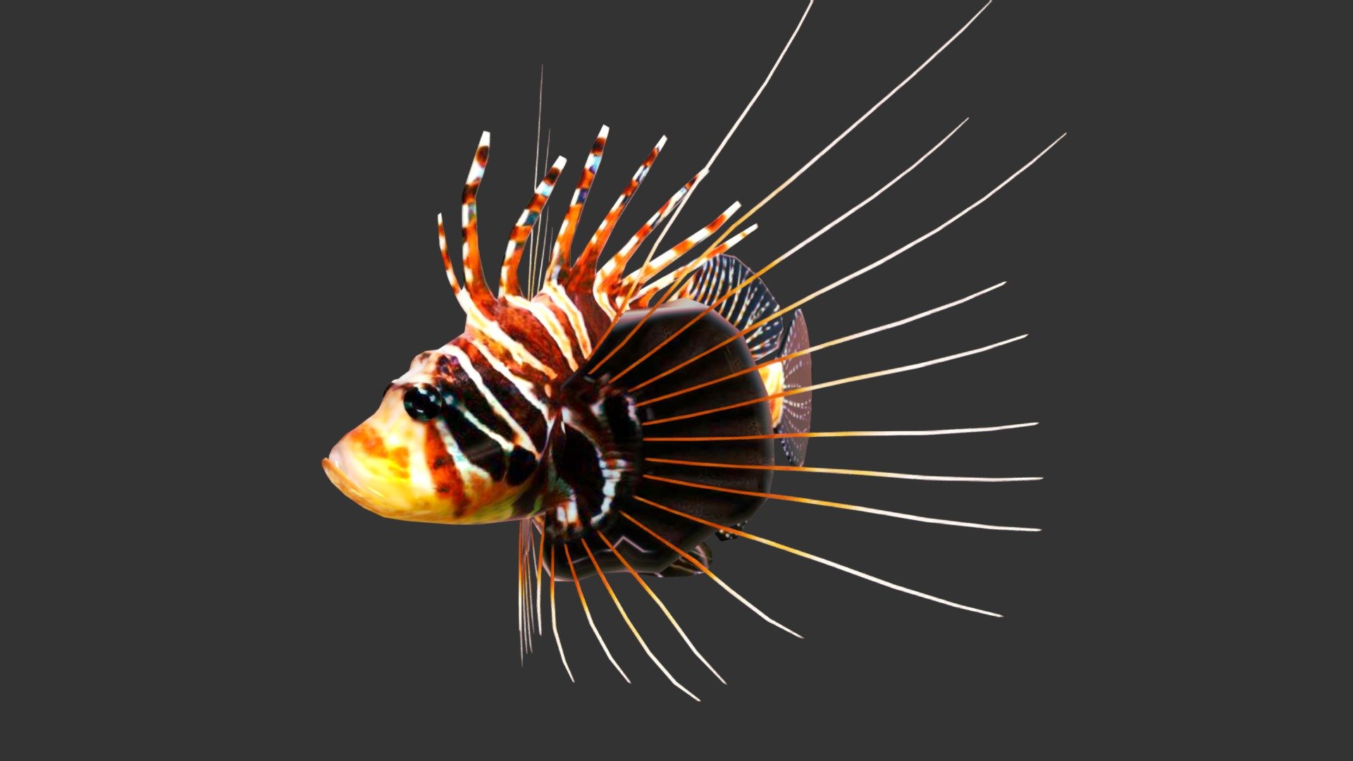 Lionfish - 3D model by josluat91 3d model