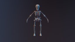 low poly skeleton character skeleton, 3d-model, lowpoly, characters, characterdesign