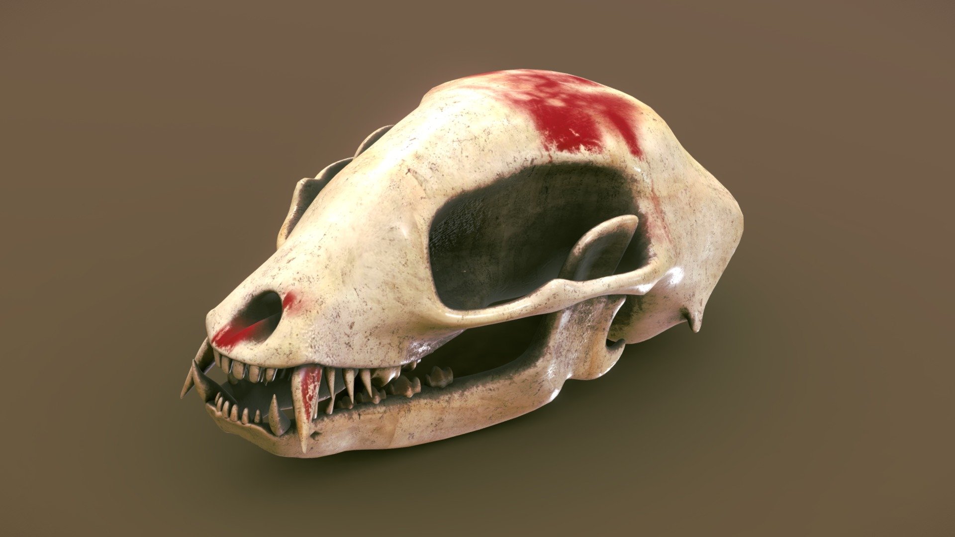 Animal skull stylized asset prop game.

Done on blender and textured on substance painter.
Contact me for special orders 3d model