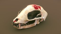 Animal skull stylized asset prop game skulls, blood, stuff, abandoned, apocalyptic, death, prop, bone, dead, western, solspec, handpainted, texture, lowpoly, model, animal, stylized, environment, bones