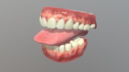 Denture and  interior of the mouth mouth, teeth, tongue, denture, human