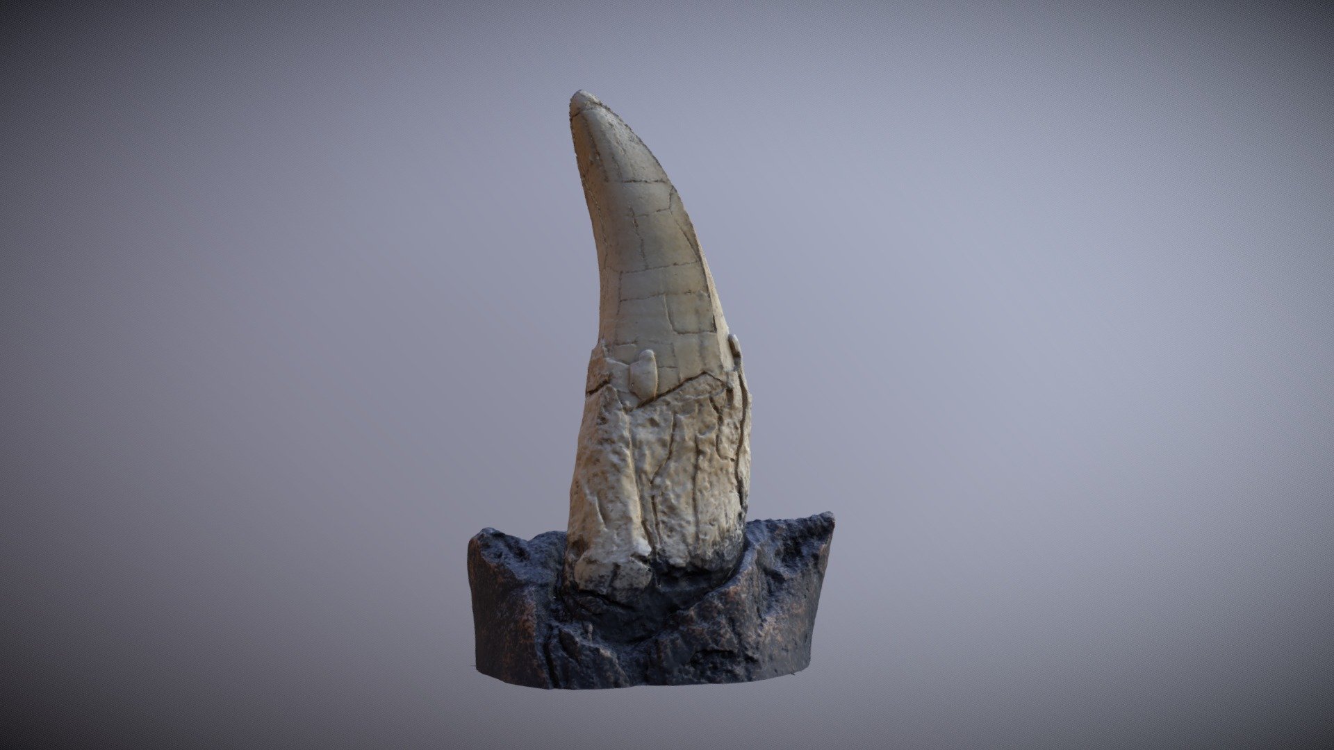 T-Rex Teeth - 3D model by Red Lab Studio (@merran2007) 3d model