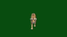 Tiger walk error tiger, walking, animal, animation, nyi, nyilonelycompany