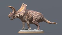 Coahuilaceratops magnacuerna ceratopsidae, mezosoic, dinosarus
