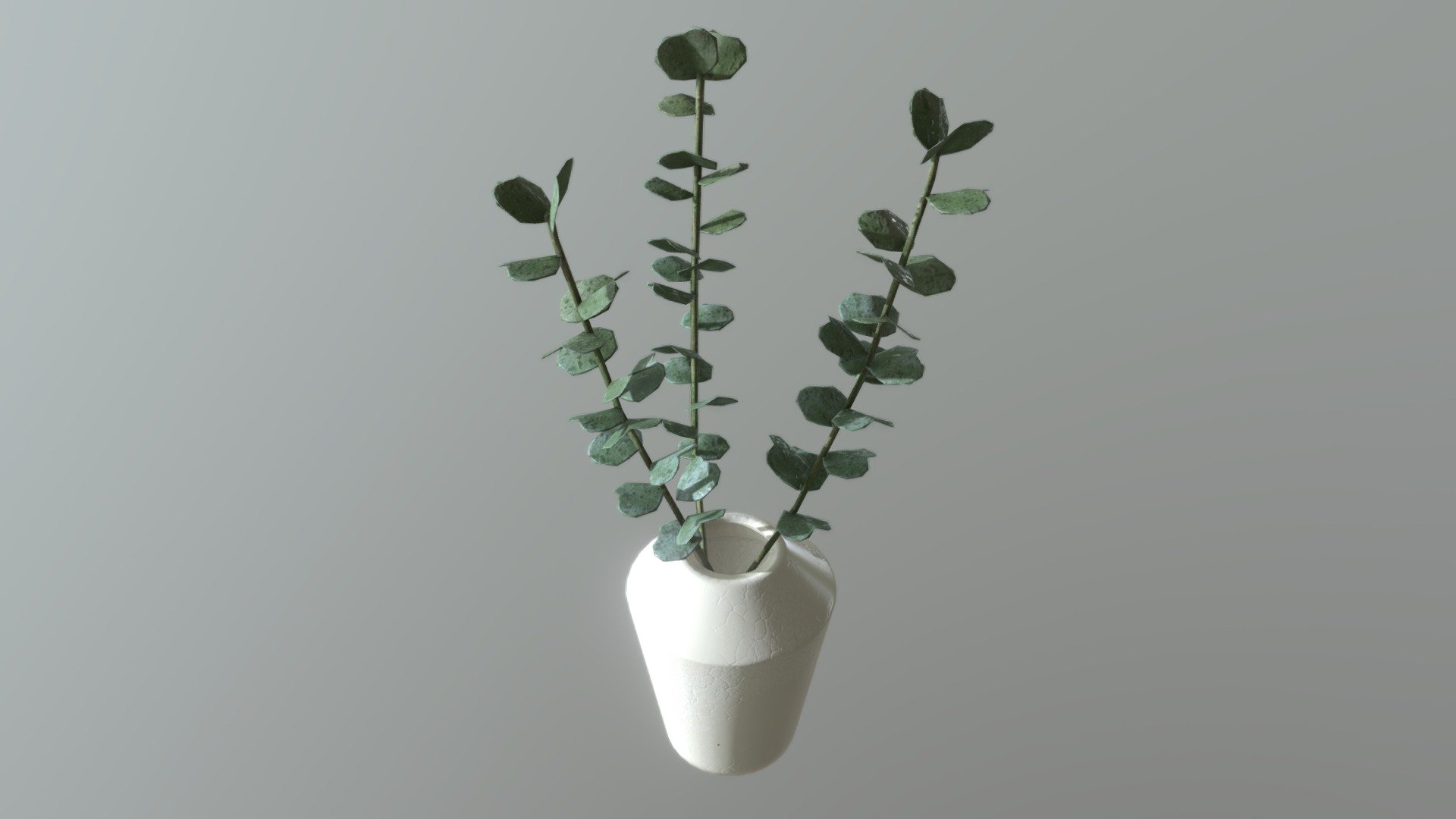 made with Blender and Substance Painter - Porcelain Vase with Eucalyptus - Buy Royalty Free 3D model by Anežka Hájková (@anezka) 3d model