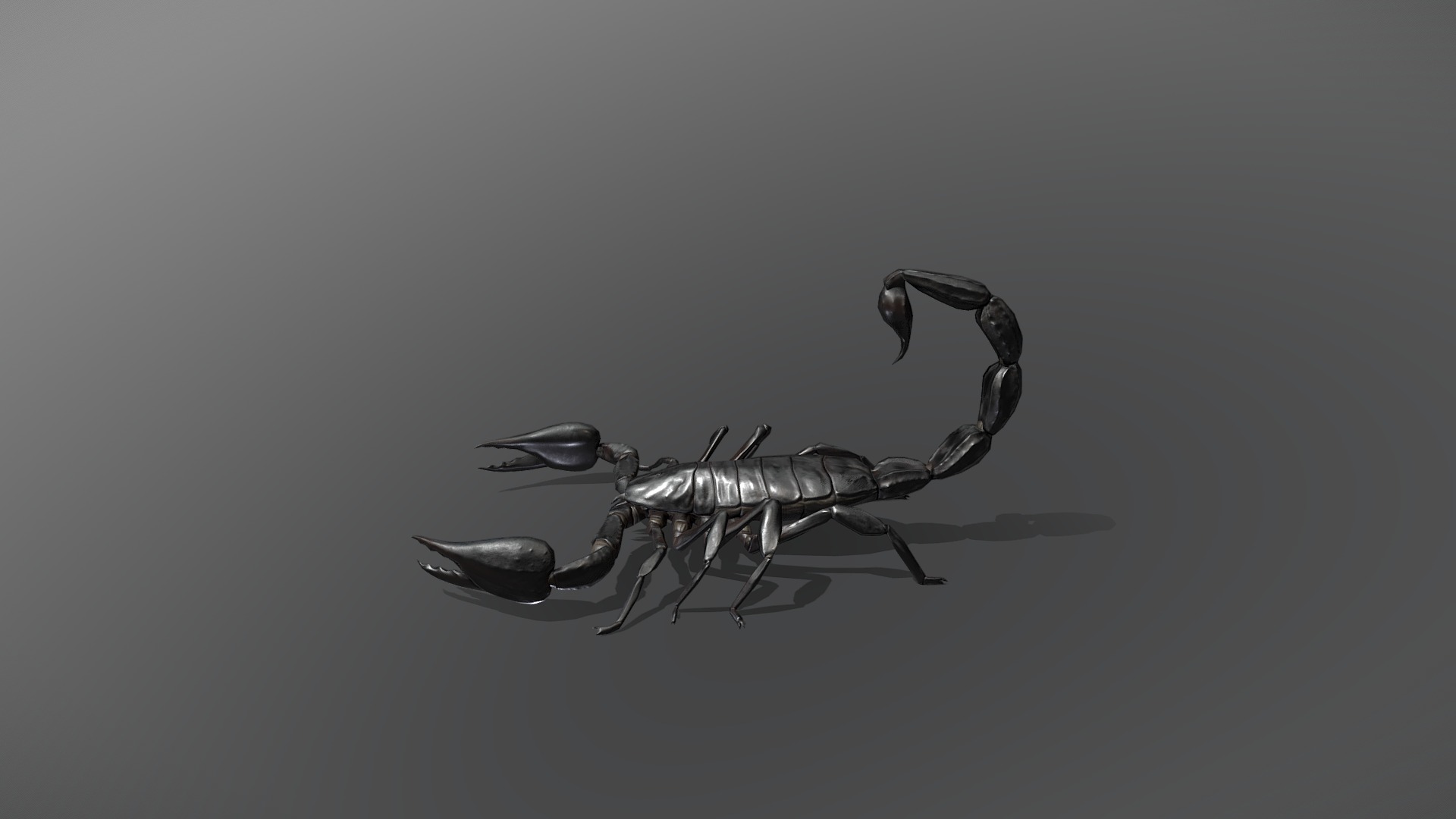 Optimized photorealistic model of black scorpion.
20k tris - Black Scorpion - 3D model by Teli 3d model