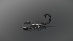 Black Scorpion scorpion, game-ready, low-poly, pbr