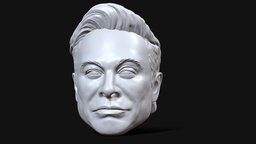 Elon Musk 3D printable action figure portrait