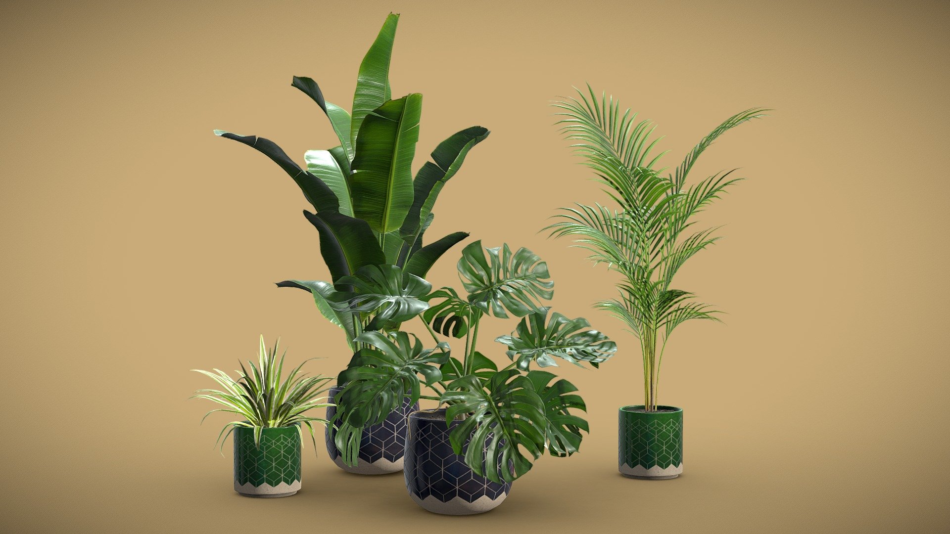Indoor Plants Pack 32

This selection of indoor exotic plants will provide a nice touch to your interior renders.




Areca Palm

Chlorophytum

Monstera Deliciosa

Strelitzia Reginae

4k Textures




Vertices  51 025

Polygons  44 822

Triangles 88 804
 - Indoor Plants Pack 32 - Buy Royalty Free 3D model by AllQuad 3d model
