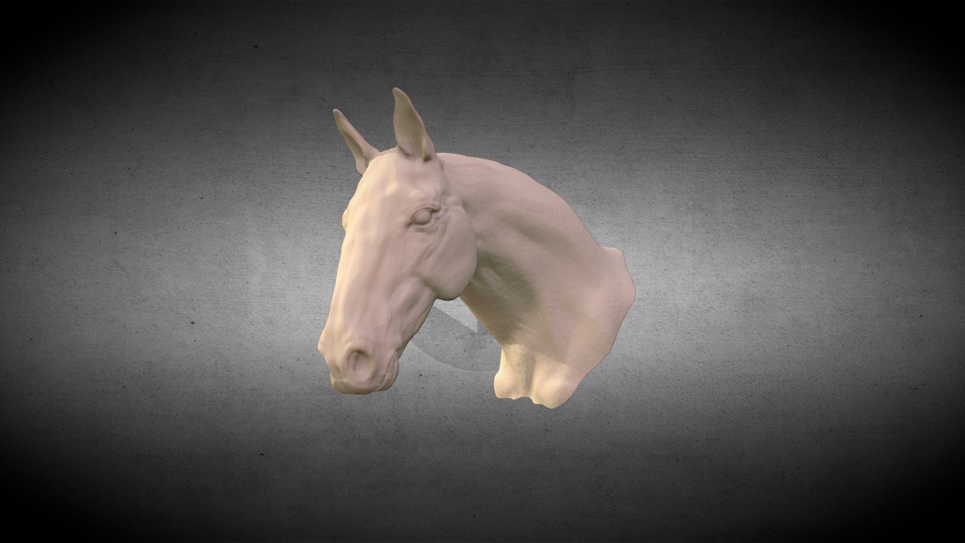 A horse head that I sculpted last year in Zbrush - Horse Head sculpt - 3D model by Q.art 3d model