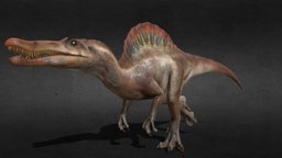 Spinosaurus of Jurassic Park (Rigged & Animated) spinosaurus, dinosaurs, jurassic, game-ready, game-asset, jurassicpark, spinosaur, spino, 3d-art, nublar, jurassic-world, sorna, pbr-texturing, blender-eevee, game, pbr, blender3d, creature, animal, animation, animated, blender-cycles, rigged, dinosaur