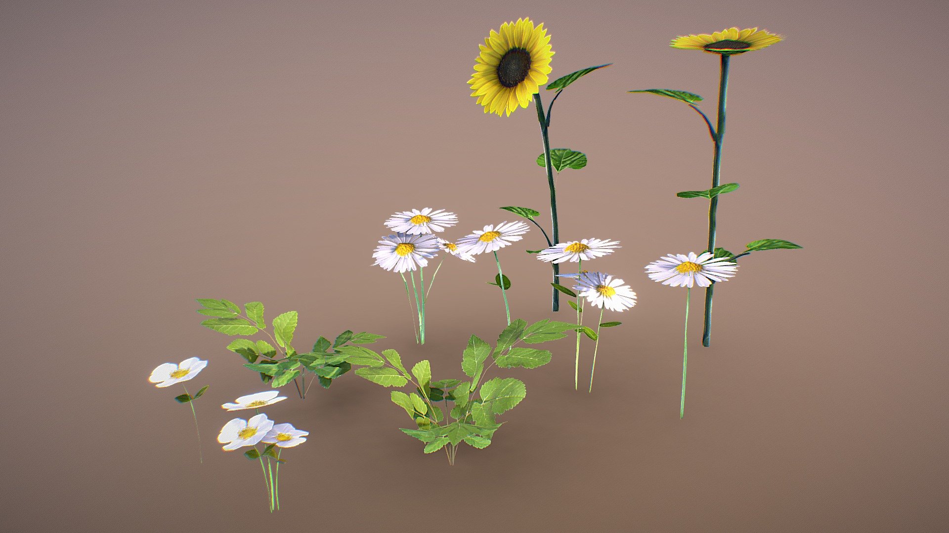 Bush, Daisies, Sunflower - Download Free 3D model by IDALGAME 3d model