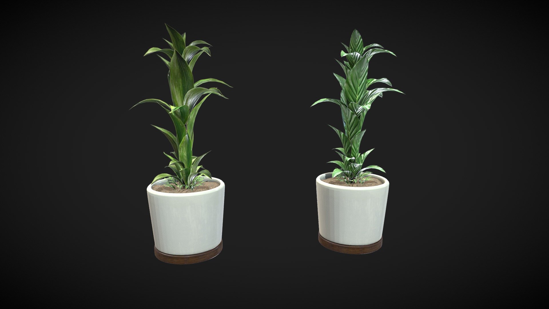 3D Plant V5 modeling optimized and ready for your personal projects, references and more.

Textures atlas 2048x2048
(VR, AR, Web, Videogame and Render Ready Modeling)

File Format:
 - Maya
 - Blender
 - FBX
 - OBJ
 - gLTF

Important: Read (.txt) information about FBX.

Learn more:
Instagram https://www.instagram.com/kraffingdesign/?hl=en-la - Plant - Buy Royalty Free 3D model by kraffing Studio (@kraffing) 3d model