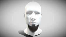 Metalhead Beard