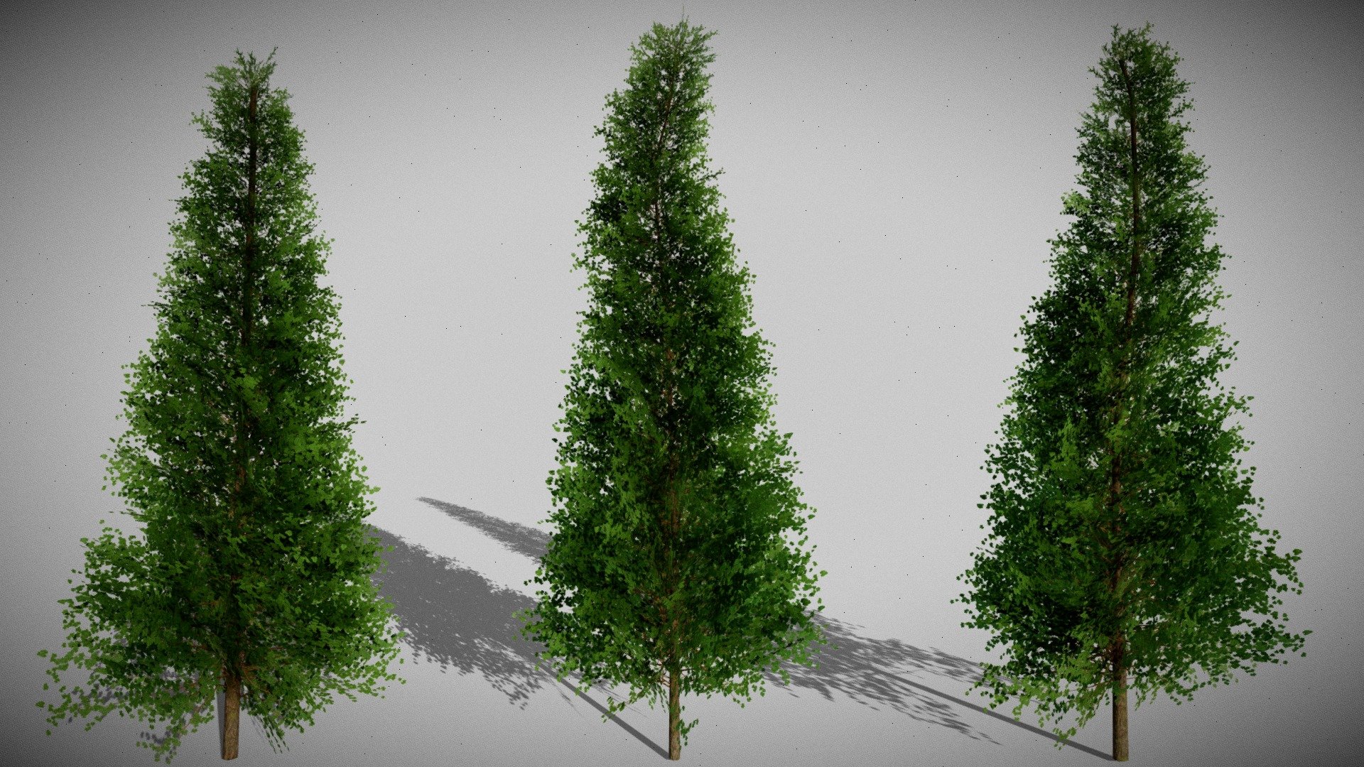 Low Poly Trees Free

Asset Pack Description:-



3 types of Low Poly Tree mesh

Textures Included in Blend File, You can extract them from unpacking the blend file

Textures List : Leaf Color Map,Normal Map and Opacity Map,Bark Color Map,Bark Normal Map,Bark Roughness Map, You can Use any Bark texture 

Technique Used: Opacity Masking

Trees can be Used in Games and Game Engines, Just Export them in any file format you want!




Additional Notes/Tips:-



All Trees have Poly Count Less than 1k

Use subsurface/Translucency with lighter shade of leaf Texture using Brightness/Contrast in shader editor.
Roughness map on Leaf not applicable use value 0-1 according to your requirements and use lower specular Value unless you want some shiny Leaves

Use Color variation with same Normal And Opacity Mask in Shader Editor.


Thank You! - Low Poly Trees Free - Download Free 3D model by Nicholas-3D (@Nicholas01) 3d model