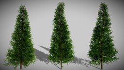 Low Poly Trees Free