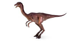 Dinosaur Gall Lowpoly Art Style Animal
