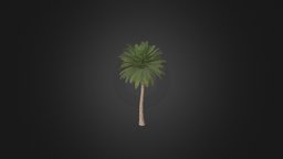Canary Island Date Palm cinema, tree, green, ray, vray, exterior, palm, phoenix, island, detailed, brown, summer, leaf, fbx, bark, max, mental, cgaxis, canary, date, scanline, canariensis, 3ds, leaves, c4d