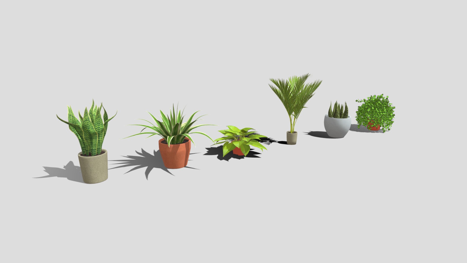3D models of different types of plants to use as home or office decor. 

Package includes (individual models as well in links): 


Snake plant
Majesty palm plant
Neon photos
Spider plant
Haworthia plant 
Maidenhair fern

Models available in FBX &amp; OBJ - Low poly plants pack - Buy Royalty Free 3D model by assetfactory 3d model