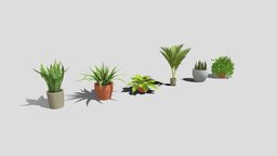 Low poly plants pack