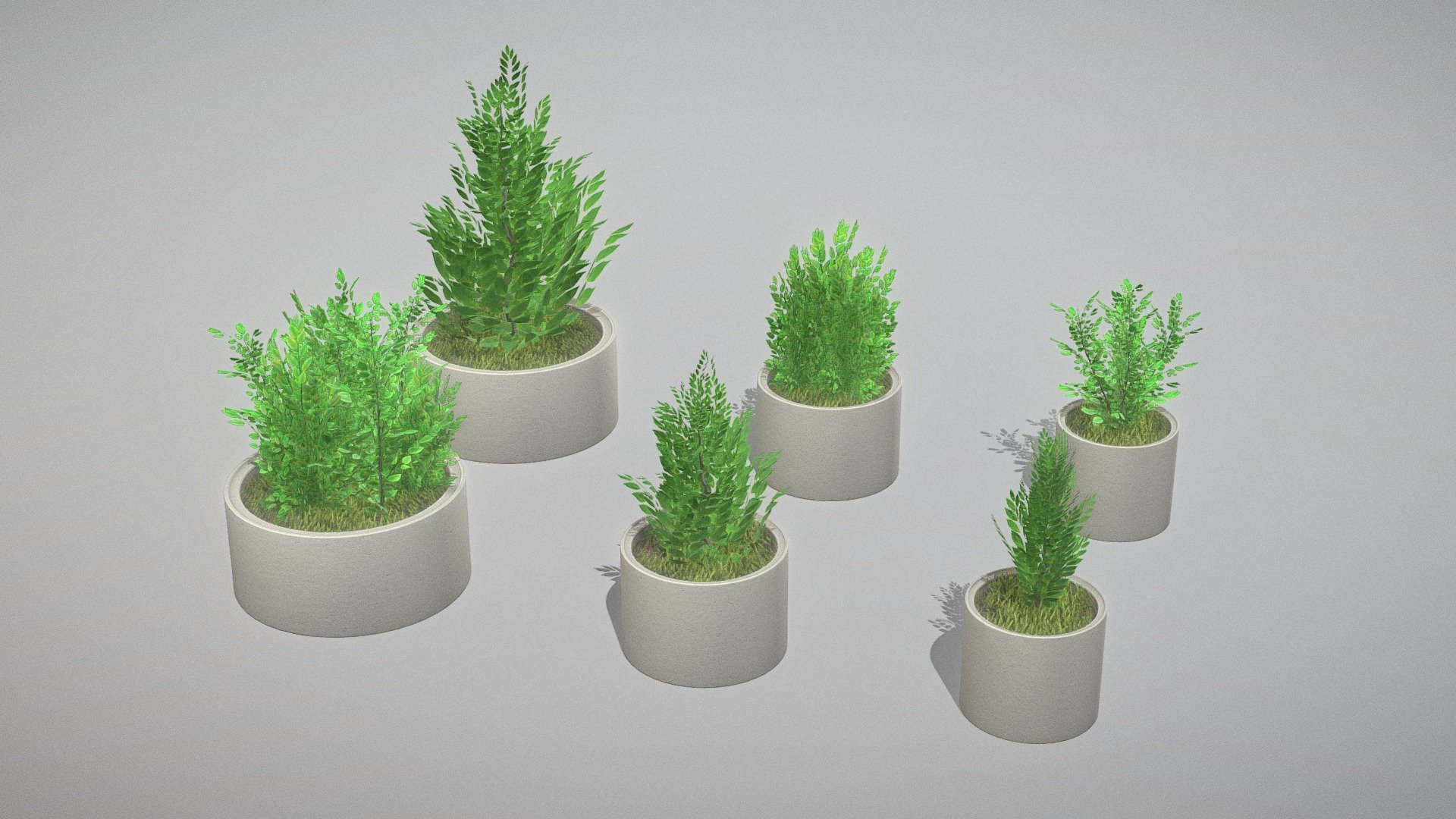 Here are some concrete pipe pots with bushes, version 1 with grass ground.


Parts:



Object Name - Concrete_pot_800mm_Bush_1-1 

Dimensions -  0.838m x 0.807m x 1.780m

Vertices = 1507

Polygons = 1803






Object Name - Concrete_pot_800mm_Bush_2-1 

Dimensions -  1.011m x 1.068m x 1.665m

Vertices = 2559

Polygons = 2317






Object Name - Concrete_pot_1000mm_Bush_1-1 

Dimensions -  1.290m x 1.245m x 2.013m

Vertices = 2401

Polygons = 2563






Object Name - Concrete_pot_1000mm_Bush_2-1 

Dimensions -  1.001m x 1.038m x 1.933m

Vertices = 1613

Polygons = 2003






Object Name - Concrete_pot_1500mm_Bush_1-1 

Dimensions -  1.571m x 1.547m x 2.115m

Vertices = 4489

Polygons = 4184






Object Name - Concrete_pot_1500mm_Bush_2-1 

Dimensions -  1.966m x 2.029m x 2.912m

Vertices = 2645

Polygons = 2624



Modeled and textured by 3DHaupt in Blender-2.91 - Concrete Pipe Pots with Bushes 1 - Buy Royalty Free 3D model by VIS-All-3D (@VIS-All) 3d model