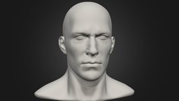Male Head 3 anatomy, reference, head, ecorche, malehead, man, male