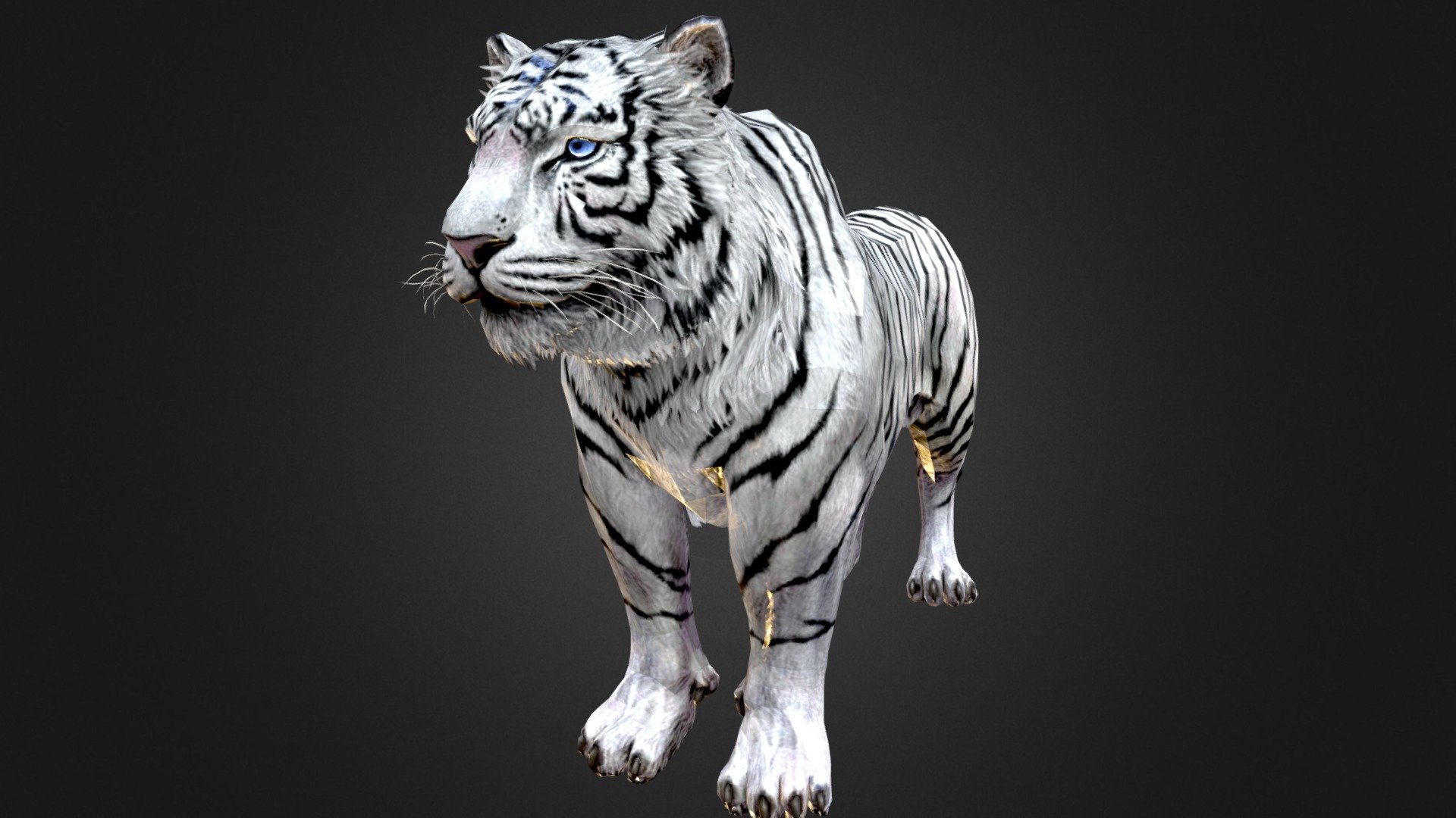 High detail and realistic KING WHITE TIGER 3D models JUNGLE ANIMALS RDAM ,
This is a 3D ANIMAL high-end photorealistic 3D models of ANIMALS JUNGLE called REY WHITE TIGER 3D MODEL Animated DE LA JUNGLA in Blender. 
DOWNLOAD WHITE TIGER: https://sites.google.com/view/3d-models-download-rdam/models-3ds-max-maya-c4d-unity-unreal-blender

You can check the individual model
45240/45240 - ID of TIGER WHITE 3D RDAM Animated

Originally created with 3ds Max 2016 and saved as BLENDER AND 3ds Max 2013

SCENE objects:

You can check the full list of objects via VIDEO in presentation images

Please check out my other models, just click on my user name to see complete gallery RDAM STUDIO
Thank you for choosing my model, I hope you like it!
Rig Description

BLENDER 3.0
&lsquo;Auto rig PRO'
&lsquo;complet facial rig' - White Tiger - 3D model by Rdam 3D Pictures (@rdam) 3d model