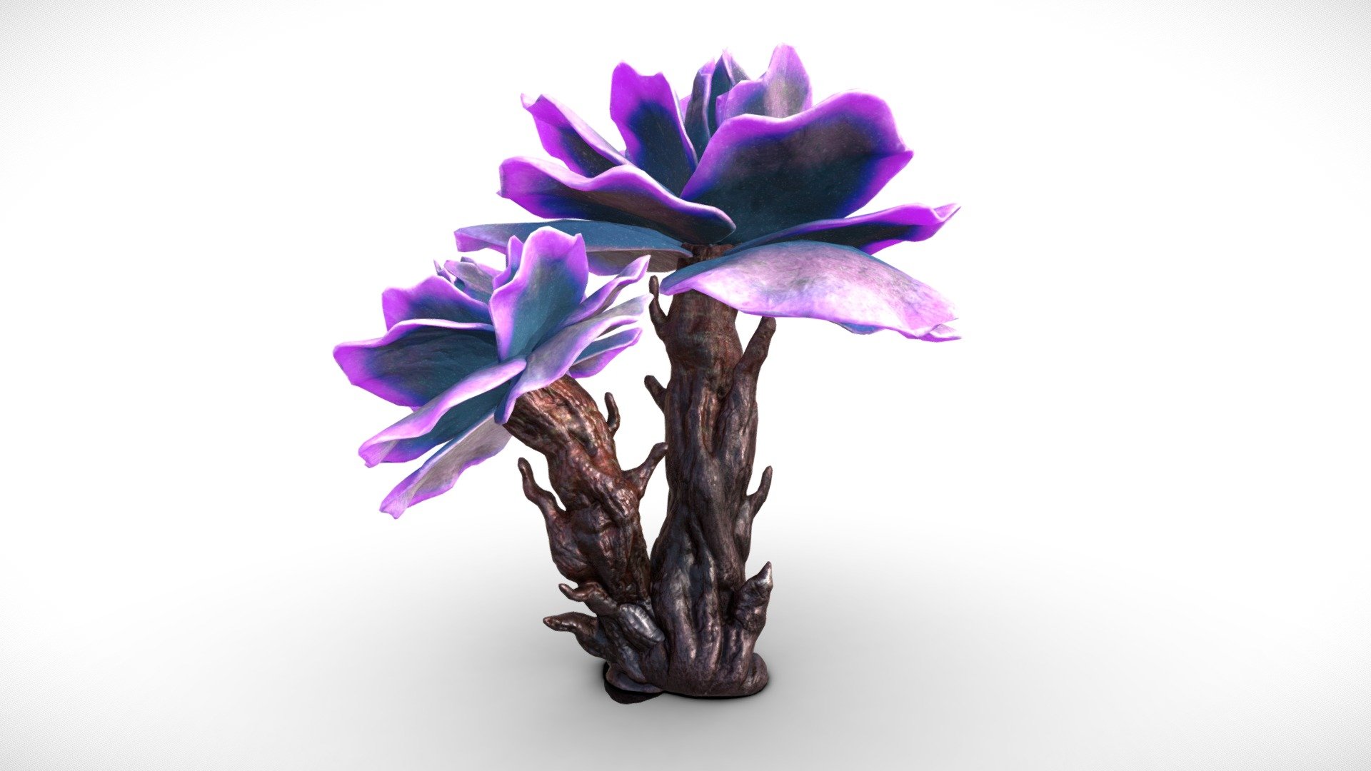 This plant comes with Two tree variations, around 7000 Vertices each.
All textures are 4096x4096 each.

Textures




Trunk A Dif (Roughness in Alpha channel)

Trunk A Norm

Trunk A Metallic + Glow (R and G Channels)

Trunk B Dif (Roughness in Alpha channel)

Trunk B Norm

Trunk B Metallic + Glow (R and G Channels)

Petals Dif (Roughness in Alpha channel)

Petals Norm

Petals Metallic + Glow (R and G Channels)
 - Alien Fantasy Plant - Flower Tree - Buy Royalty Free 3D model by Davis3D 3d model