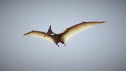 Animated Pterodactyle (Game Ready)