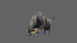 Buffalo africa, animals, buffalo, wild, mammal, african, safari, realistic, bison, wildlife, animal, animation, animated