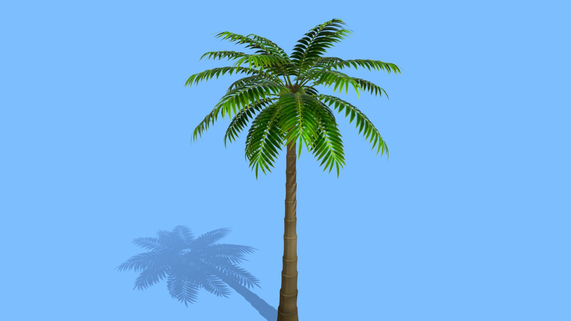 palm Tree - Buy Royalty Free 3D model by gohean33 3d model