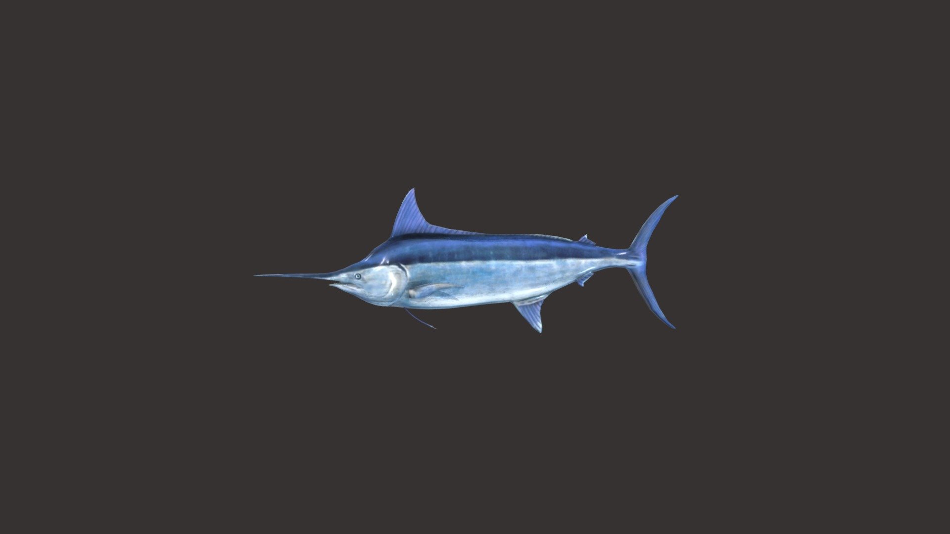 Blue Marlin - 3D model by josluat91 3d model