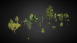 Low-poly Trees Collection tree, games, assets, exterior, collection, vegetation, low-poly-model, conceptdesign, low-poly, lowpoly, gameasset, concept, gameready, tree-collection