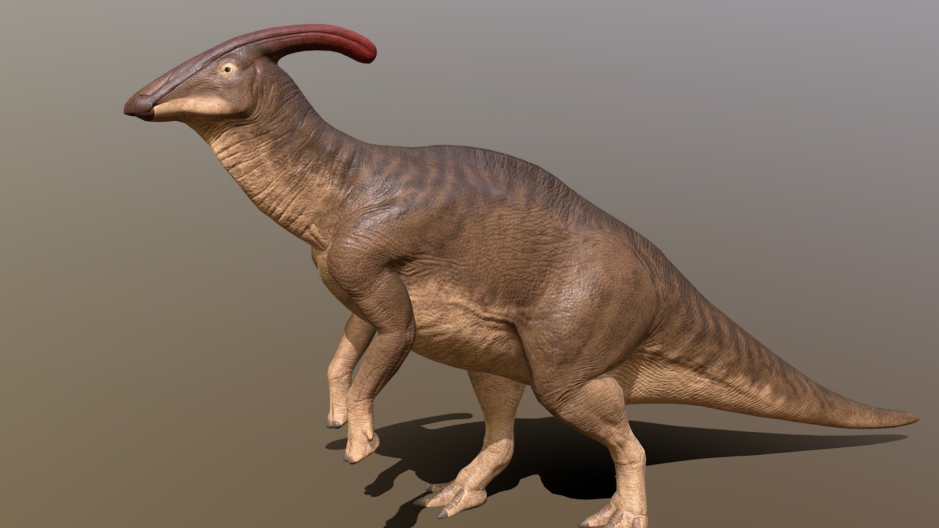 Parasaurolophus - Parasaurolophus - 3D model by pxltiger 3d model