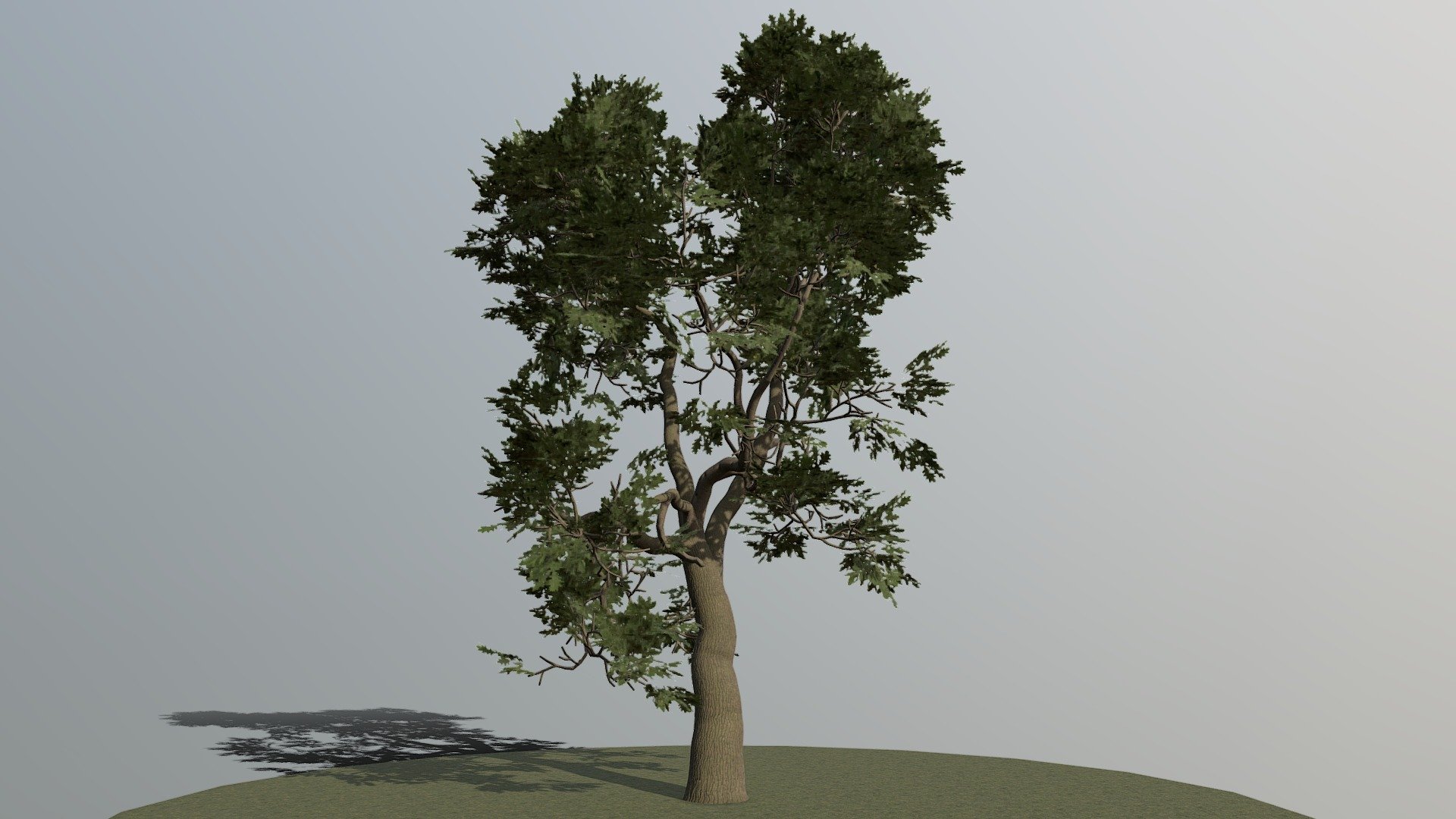 Detailed Description Info:


Model: Oak Tree


Media Type: 3D Model


Geometry: Quads/Tris


Polygon Count: 71712


Vertice Count: 106942


Textures: Yes


Materials: Yes


Rigged: No


Animated: No


UV Mapped: Yes


Unwrapped UV’s: Mixed


||||||||||||||||||||||||||||||||||| - OakTree - Buy Royalty Free 3D model by studio lab (@leonlabyk) 3d model