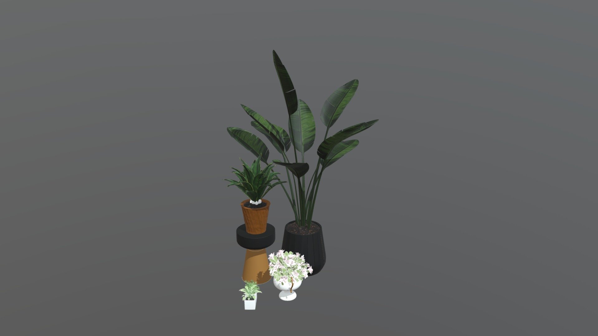five different types of indoor plants in different kind of vases and pots 3d model