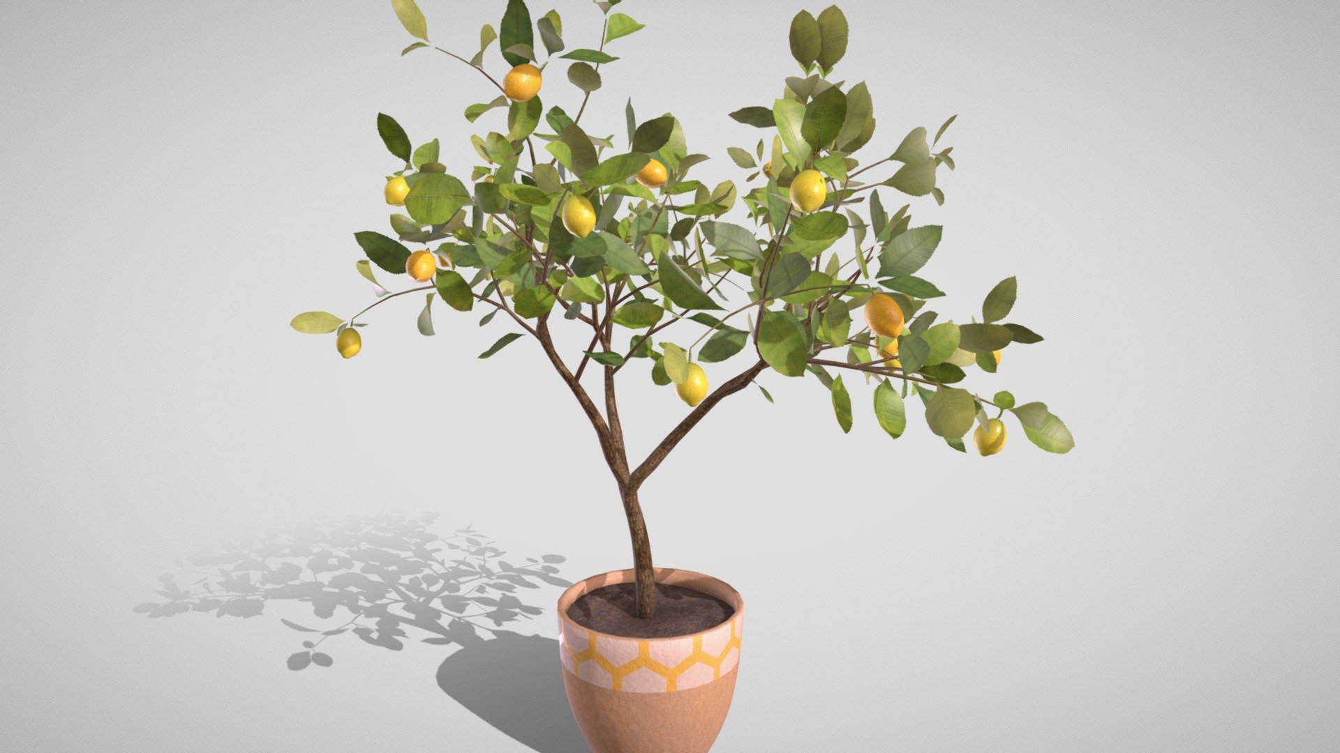 Detailed model of a lemon tree with bright fruits.
A lemon tree will be a unique decoration for the interior of an apartment, garden or street. 

And also will add nature vibes to your 3D project, game or metaverse:)



Video about the model


Model info



quads clean topology, 14k faces

clean unwrapped UV

3 sets of texture maps in 4K and 2K resolution

3 materials

ready to use in blend and fbx format

Built with Blender. Origin Blender file attached


Thanks for watching^.^
Want to buy this model? Please tell me where you want to use it.

Have questions about the model? Mail me: tochechkavhoda@gmail.com - Lemon tree in a pot (3D) - Buy Royalty Free 3D model by tochechka 3d model