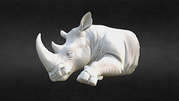 Rhino rhino, aerial, wild, rhinoceros, moss, 3d, model, animal