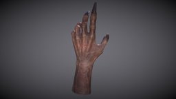 Monster Hand anatomy, arm, creepy, werewolf, claws, veiny, monster, hand, horror