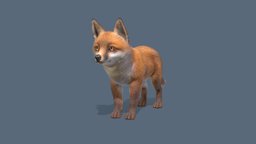 Fox red, forest, cute, wild, fox, foxes, cub, noai