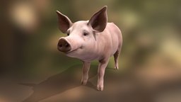 Pig body, pig, animals, props, skinned, animation3d, rigged-character, animal