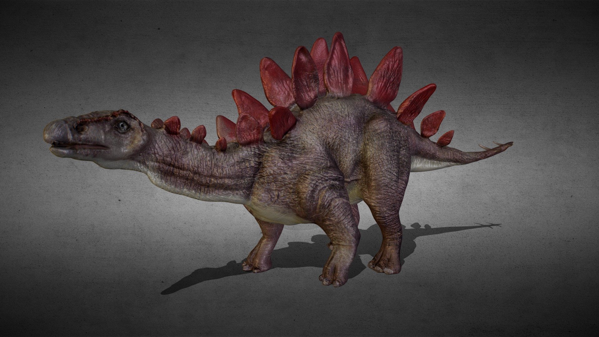 Stegosaurus posed - Stegosaurus posed - Download Free 3D model by PAndras (@PusztaiAndras) 3d model