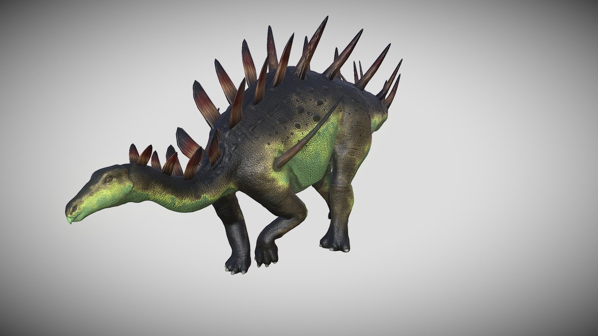 kentrosaurus - 3D model by Kakeru Fujimiya (@K_Fujimiya) 3d model