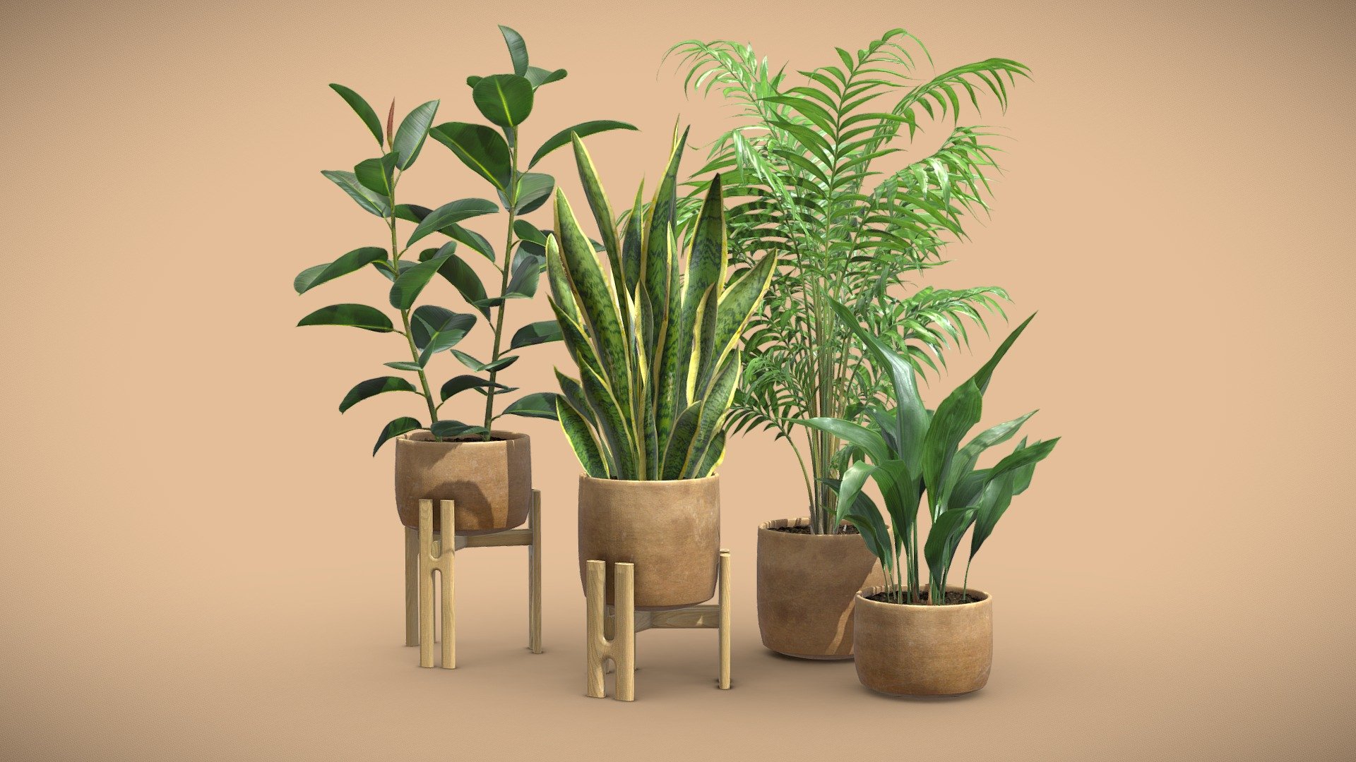 Indoor Plants Pack 65
This selection of indoor exotic plants will provide a level of detail that will take your visualizations to the next level.
Models can be subdivided for more definition.




Sansevierria

Ficus Elastica

Aspidistra

Chamaedorea Elegans

4k Textures




Vertices  75 297

Polygons  59 706

Triangles 118 754
 - Indoor Plants Pack 65 - Buy Royalty Free 3D model by AllQuad 3d model