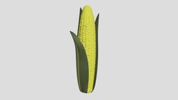 Corn plant, farm, popcorn, corn, cornwall, agriculture, crop, crops, cornstalk, cornstarch, cornmeal, corny