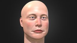 Elon Musk 3D portrait face, portrait, superhero, virtualreality, businessman, spacex, elonmusk, pbr-game-ready, elon-musk-3d-model, lowpoly, man, gameasset, augmented-reality, human