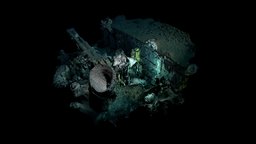 Low Poly Deep Sea Shipwreck #2 film, organic, white, underwater, geology, shipwreck, wreck, deepsea, coral, craft, cgi, deep, aircraft, science, nature, saltwater, brine, vent, buy, strucure, erosion, vents, salt, hydrothermal, smoker, pools, realitycapture, photogrammetry, scan, air, technology, ship, 3dmodel, black, 3dmodeling, sea, brinepools, hydrothermalvents, blacksmoker, "whitesmoker"