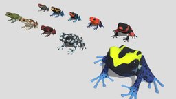 10 kinds of Poison dart frog [2] frog, poisondartfrog, low-poly
