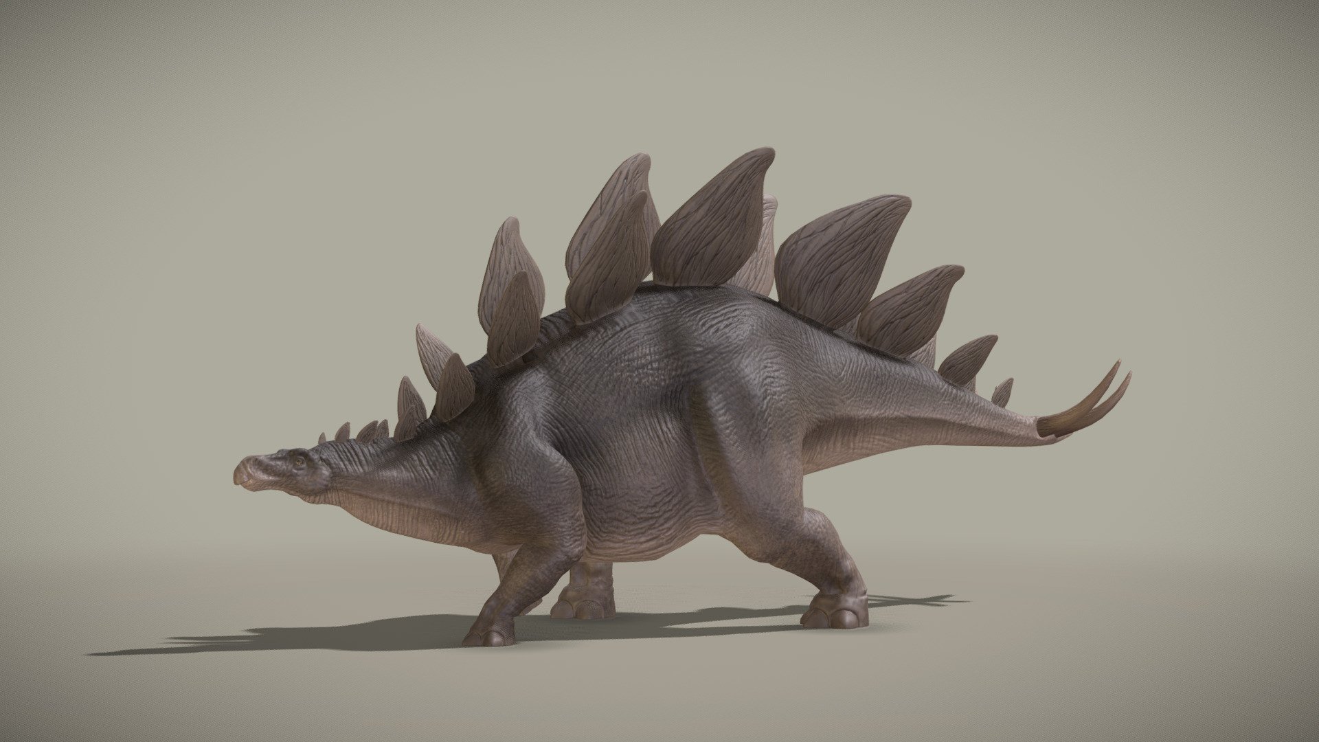 Made with Blender.

This model is featured in the official Sketchfab VR app:
 - Stegosaurus Stenops - Buy Royalty Free 3D model by Kyan0s 3d model